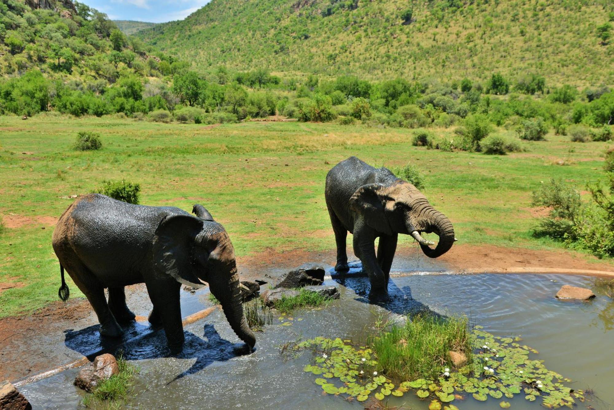 Kwa Maritane Lodge Ledig Bagian luar foto