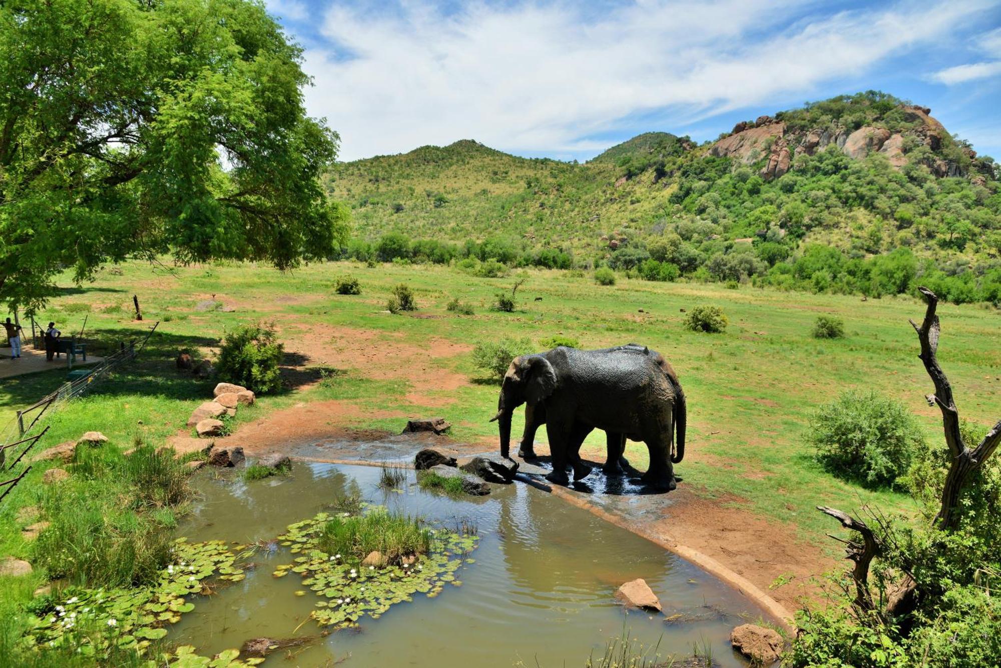Kwa Maritane Lodge Ledig Bagian luar foto