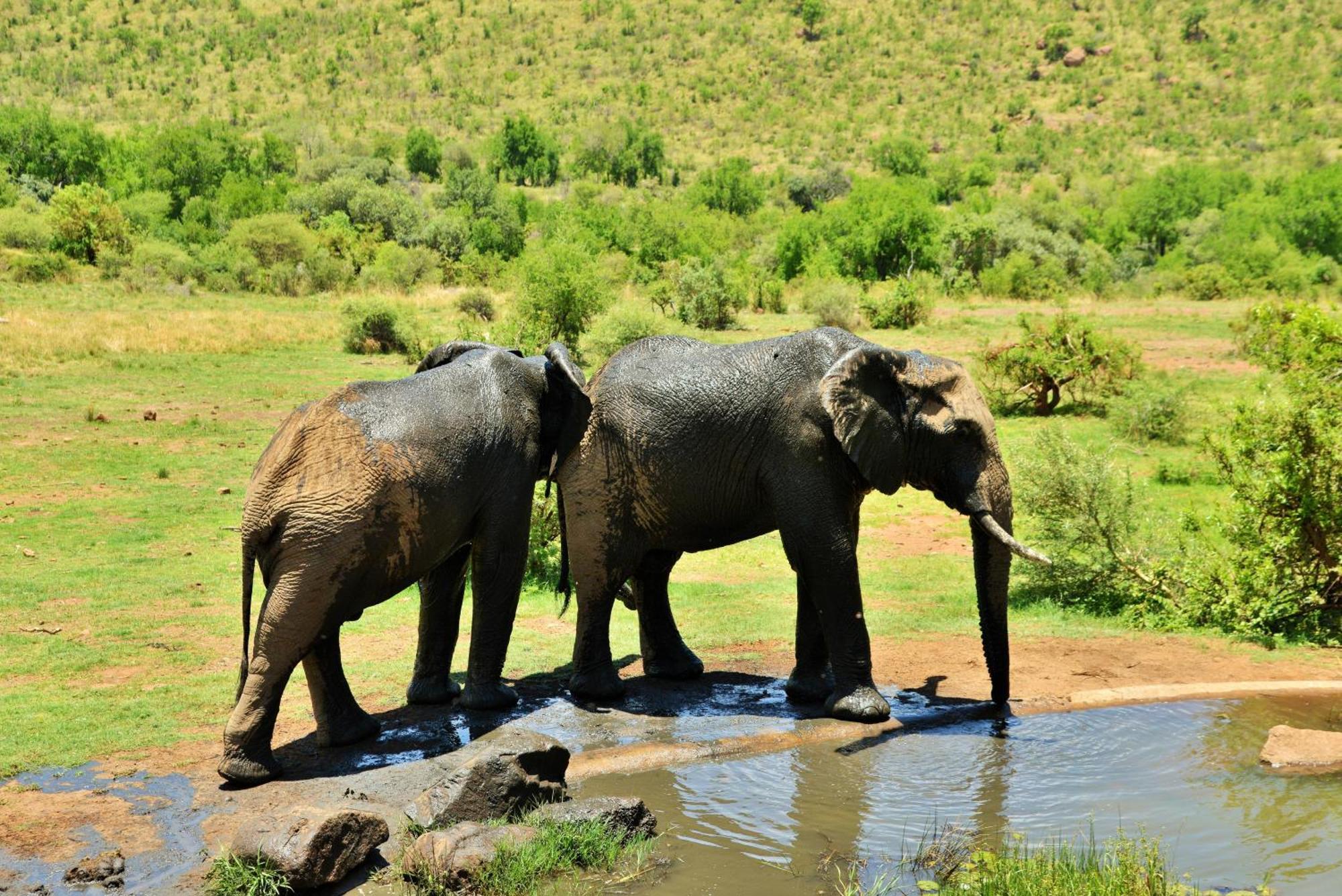 Kwa Maritane Lodge Ledig Bagian luar foto