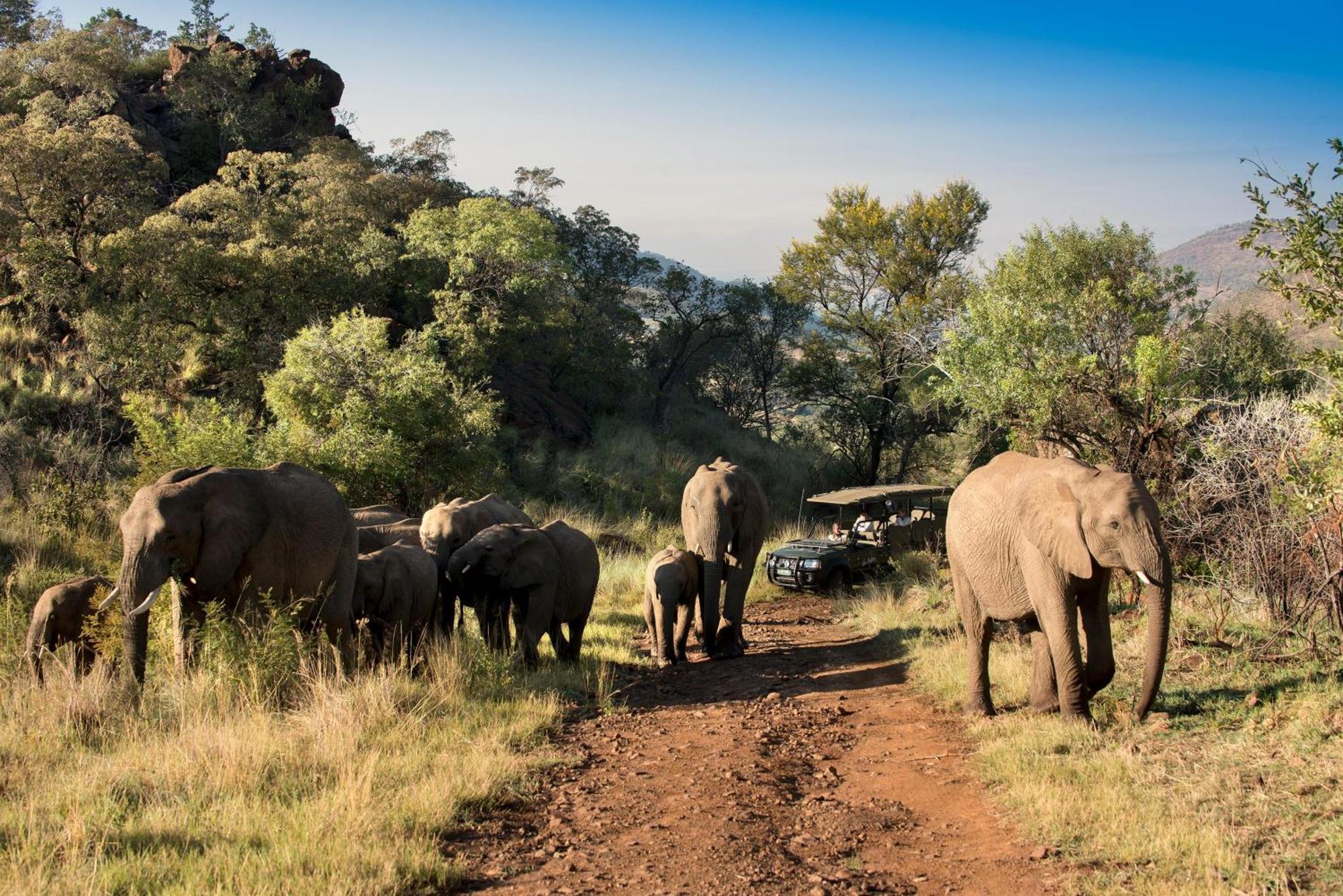Kwa Maritane Lodge Ledig Bagian luar foto